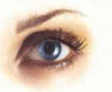 Auge_r.jpg