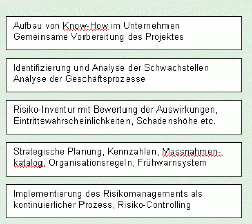 riskm21.gif